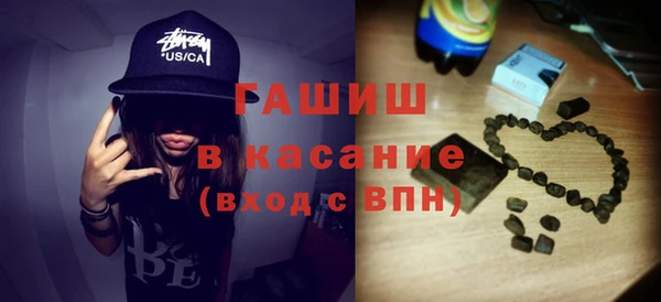 индика Дмитровск