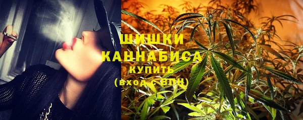 индика Дмитровск