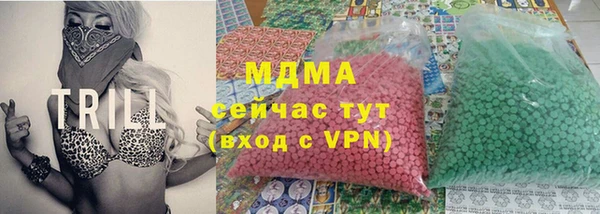 индика Дмитровск