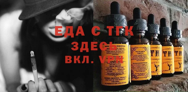 индика Дмитровск