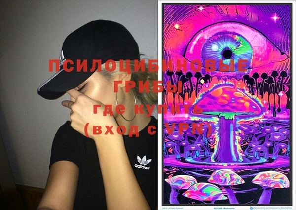 индика Дмитровск