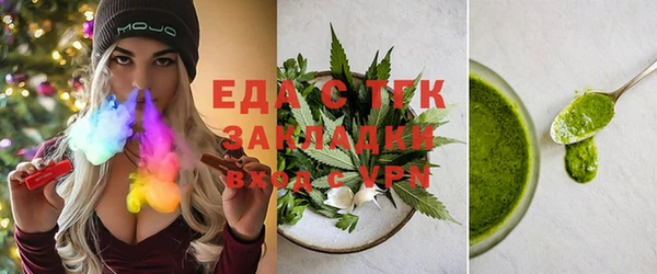 индика Дмитровск