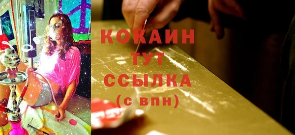 индика Дмитровск