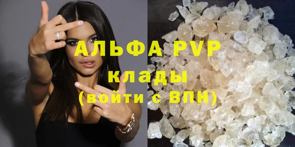 индика Дмитровск