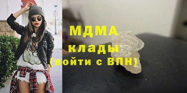 индика Дмитровск