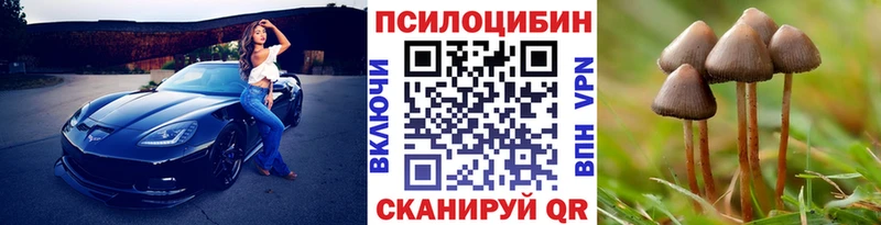Псилоцибиновые грибы прущие грибы  Купить где  Бикин 